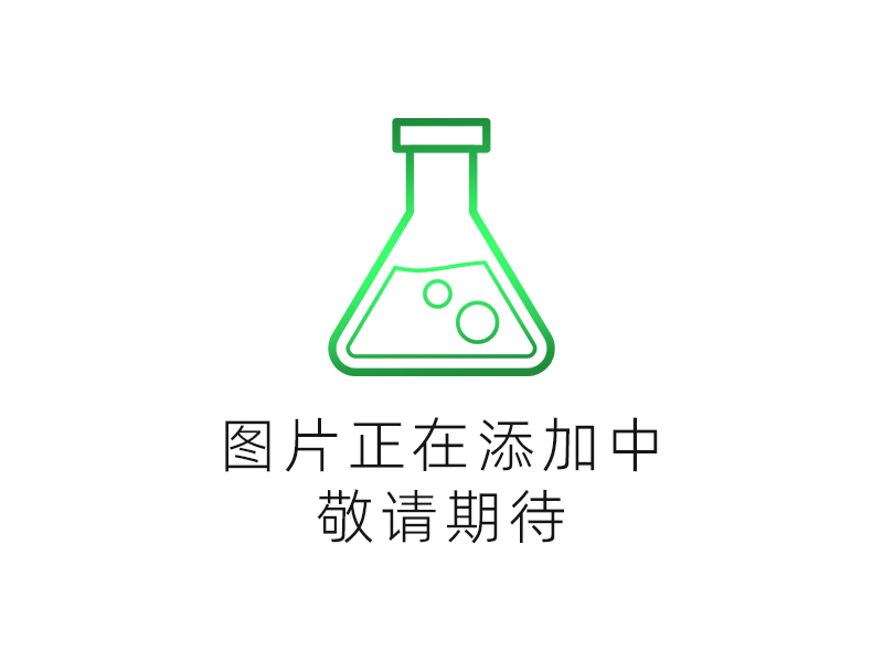 硅树脂乳液 6002#